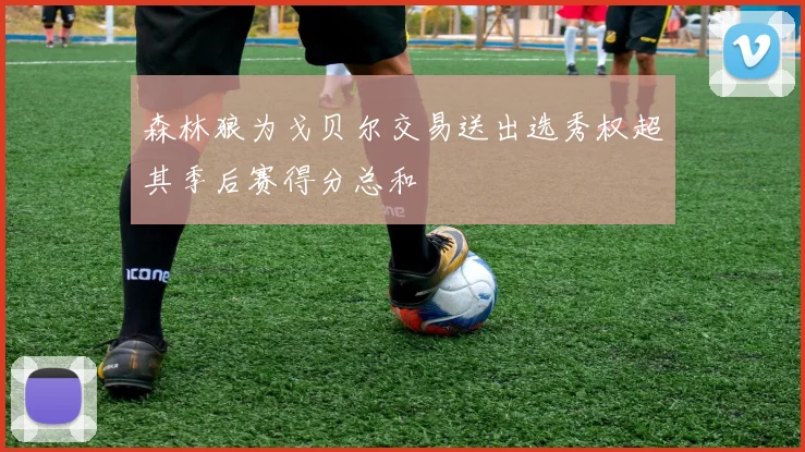 森林狼为戈贝尔交易送出选秀权超其季后赛得分总和